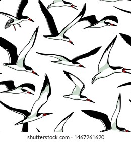 Vector seamless pattern with hand drawn flying black skimmers. Beautiful animal design elements, ink drawing. Perfect for prints and patterns