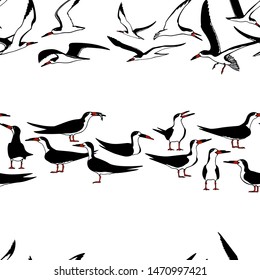 Vector seamless pattern with hand drawn black skimmers. Beautiful animal design elements, ink drawing. Perfect for prints and patterns