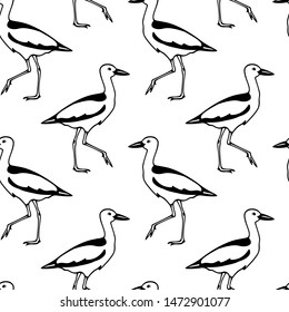 Vector seamless pattern with hand drawn cute crab-plovers. Beautiful animal design elements, ink drawing,perfect for prints and patterns