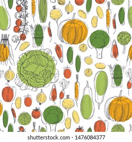 Vector seamless pattern with  hand drawn  vegetables 