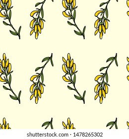 Vector seamless pattern with hand drawn dyer's greenweed twigs. Beautiful floral design elements, ink drawing