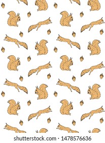 Vector seamless pattern of hand drawn orange squirrel isolated on white background