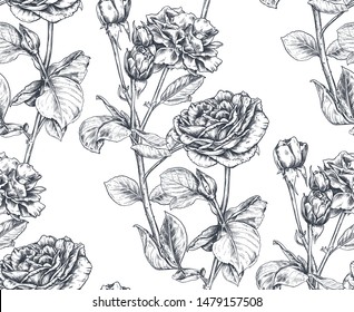 Vector seamless pattern with hand drawn rose flowers and leaves on white. Vector sketch endless background. Summer botanical illustration.