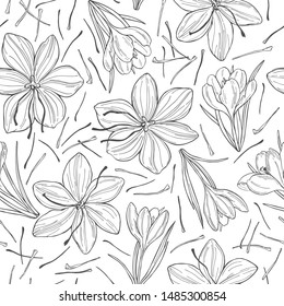 Vector seamless pattern with  hand drawn  saffron spice. 