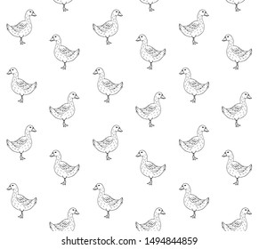 Vector seamless pattern of hand drawn duck  isolated on white background 