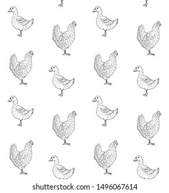 Vector seamless pattern of hand drawn chicken and duck isolated on white background