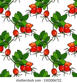 Vector seamless pattern with hand drawn dog rose twigs. Beautiful food design elements, perfect for prints and patterns