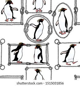 Vector seamless pattern with hand drawn cute Macaroni penguins in nautical rope. Ink drawing, funny illustration, beautiful animal design elements. Perfect for prints and patterns