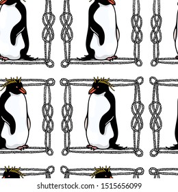 Vector seamless pattern with hand drawn cute Macaroni penguins in nautical rope. Ink drawing, funny illustration, beautiful animal design elements. Perfect for prints and patterns