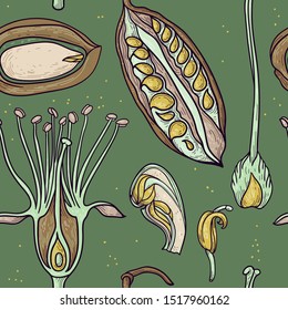 vector seamless pattern with hand drawn beans and floral elements on a green background