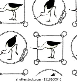 Vector seamless pattern with hand drawn cute Avocets in rope frames. Beautiful animal design elements, ink drawing, perfect for prints and patterns