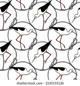 Vector seamless pattern with hand drawn cute black-winged stilts in rope frame. Beautiful animal design elements, ink drawing, perfect for prints and patterns