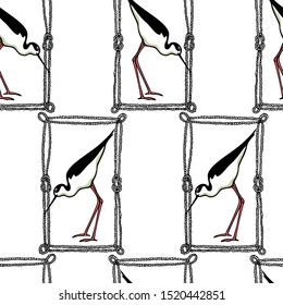 Vector seamless pattern with hand drawn cute black-winged stilts in rope frame. Beautiful animal design elements, ink drawing, perfect for prints and patterns