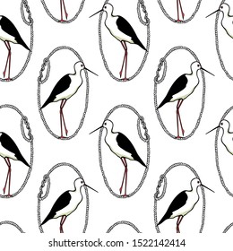 Vector seamless pattern with hand drawn cute black-winged stilts in rope frame. Beautiful animal design elements, ink drawing, perfect for prints and patterns