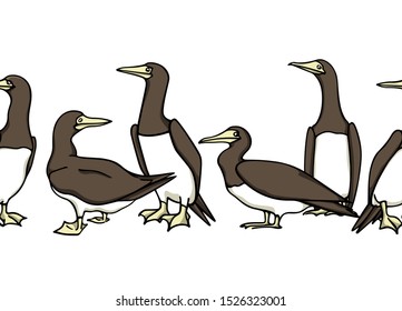 Vector seamless pattern with hand drawn Brown Boobies. Ink drawing, beautiful animal and nautical design elements. Perfect for prints and patterns