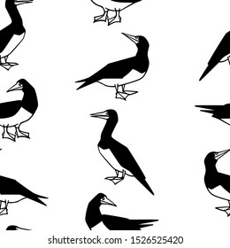 Vector seamless pattern with hand drawn Brown Boobies. Ink drawing, beautiful animal and nautical design elements. Perfect for prints and patterns