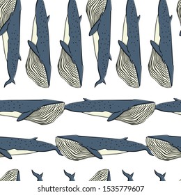 Vector seamless pattern with hand drawn Bryde's whales. Beautiful ink drawing, marine animal illustration. Perfect for prints and patterns