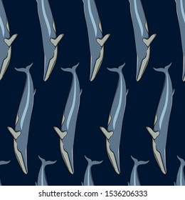 Vector seamless pattern with hand drawn Minke whales. Beautiful ink drawing, marine animal illustration. Perfect for prints and patterns