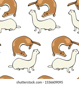 Vector seamless pattern with hand drawn cute weasels in summer and winter coats. Beautiful animal design elements, ink drawing. Perfect for prints and patterns