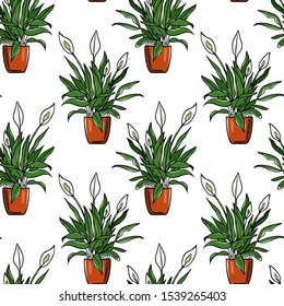 Vector seamless pattern with hand drawn Peace Lily plants in pots. Beautiful floral design elements, perfect for prints and patterns