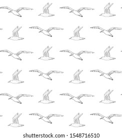 Vector seamless pattern of hand drawn flying sketch sea gull isolated on white background