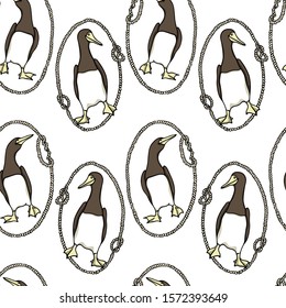 Vector seamless pattern with hand drawn cute Brown Boobies in nautical rope frames. Ink drawing, beautiful animal and nautical design elements. Perfect for prints and patterns