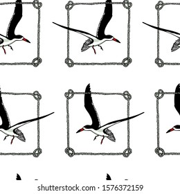 Vector seamless pattern with hand drawn flying black skimmers in rope frames. Beautiful animal design elements, ink drawing. Perfect for prints and patterns