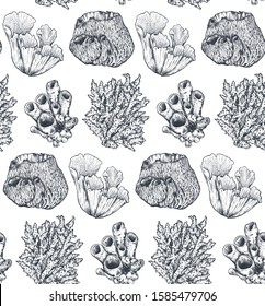 Vector seamless pattern with hand drawn ocean plants and coral reef elements in sketch style. Black and white graphic endless background.