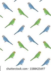 Vector seamless pattern of hand drawn doodle sketch colored budgie parrot isolated on white background