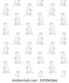 Vector seamless pattern of hand drawn doodle sketch groundhog marmot isolated on white background