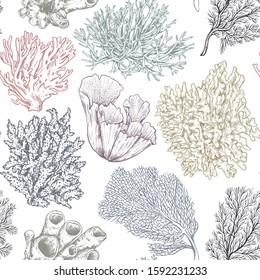 Vector Seamless Pattern With Hand Drawn Ocean Plants And Coral Reef Elements In Sketch Style. Colorful Graphic Endless Background.