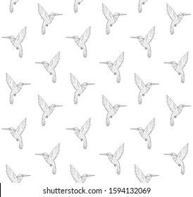 Vector seamless pattern of hand drawn doodle sketch hummingbird isolated on white background