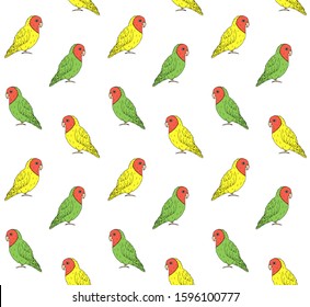 Vector seamless pattern of hand drawn doodle sketch colored lovebirds parrots isolated on white background