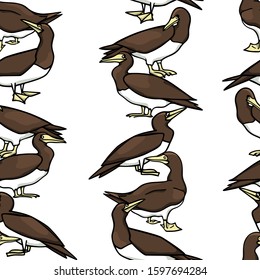 Vector seamless pattern with hand drawn Brown Boobies. Ink drawing, beautiful animal and nautical design elements. Perfect for prints and patterns