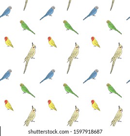 Vector seamless pattern of hand drawn doodle sketch different colored parrots isolated on white background