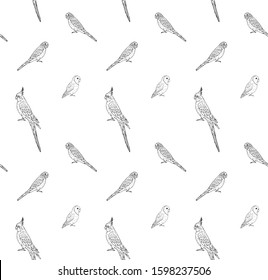 Vector seamless pattern of hand drawn doodle sketch different parrots isolated on white background