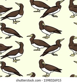 Vector seamless pattern with hand drawn Brown Boobies. Ink drawing, beautiful animal and nautical design elements. Perfect for prints and patterns
