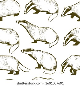Vector seamless pattern with hand drawn cute  badgers. Ink drawing, graphic style. Beautiful design elements. Perfect for prints and patterns