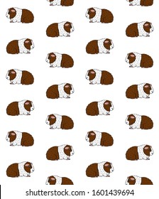 Vector seamless pattern of hand drawn doodle sketch colored Guinea pig isolated on white background