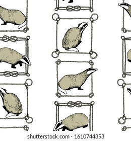 Vector seamless pattern with hand drawn badgers in nautical rope frames with ink. Beautiful animal design elements, perfect for prints and patterns