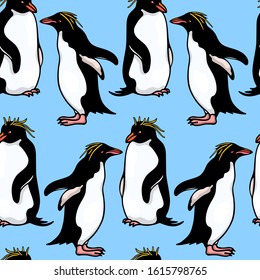 Vector seamless pattern with hand drawn cute Macaroni penguins. Ink drawing, funny illustration, beautiful animal design elements. Perfect for prints and patterns