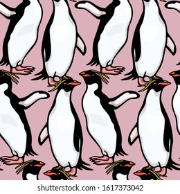 Vector seamless pattern with hand drawn cute Macaroni penguins. Ink drawing, funny illustration, beautiful animal design elements. Perfect for prints and patterns