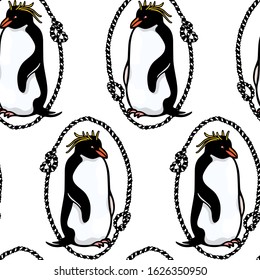 Vector seamless pattern with hand drawn cute Macaroni penguins in nautical rope. Ink drawing, funny illustration, beautiful animal design elements. Perfect for prints and patterns