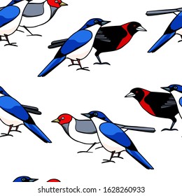 Vector seamless pattern with hand drawn exotic bright birds. Ink drawing, beautiful animal design elements. Perfect for prints and patterns