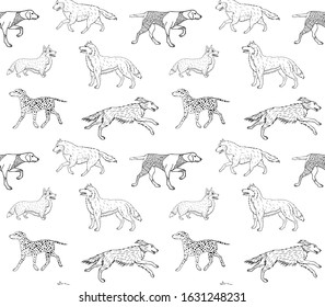 Vector seamless pattern of hand drawn doodle sketch different dogs isolated on white background