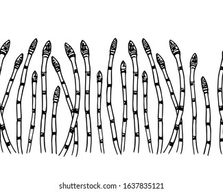 Vector seamless pattern with hand drawn Variegated horsetail twigs. Delicate and romantic floral design elements. Ink drawing. Perfect for prints and patterns