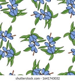 Vector seamless pattern with hand drawn honeysuckle twigs. Beautiful floral design elements, perfect for prints and patterns