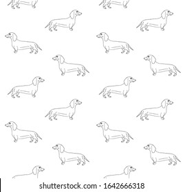 Vector seamless pattern of hand drawn doodle sketch dachshund dog isolated on white background