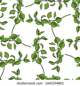 Vector seamless pattern with hand drawn oregano twigs. Beautiful food design elements, perfect for prints and patterns