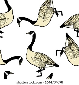 Vector seamless pattern with hand drawn wild geese. Beautiful animal design elements, ink drawing.